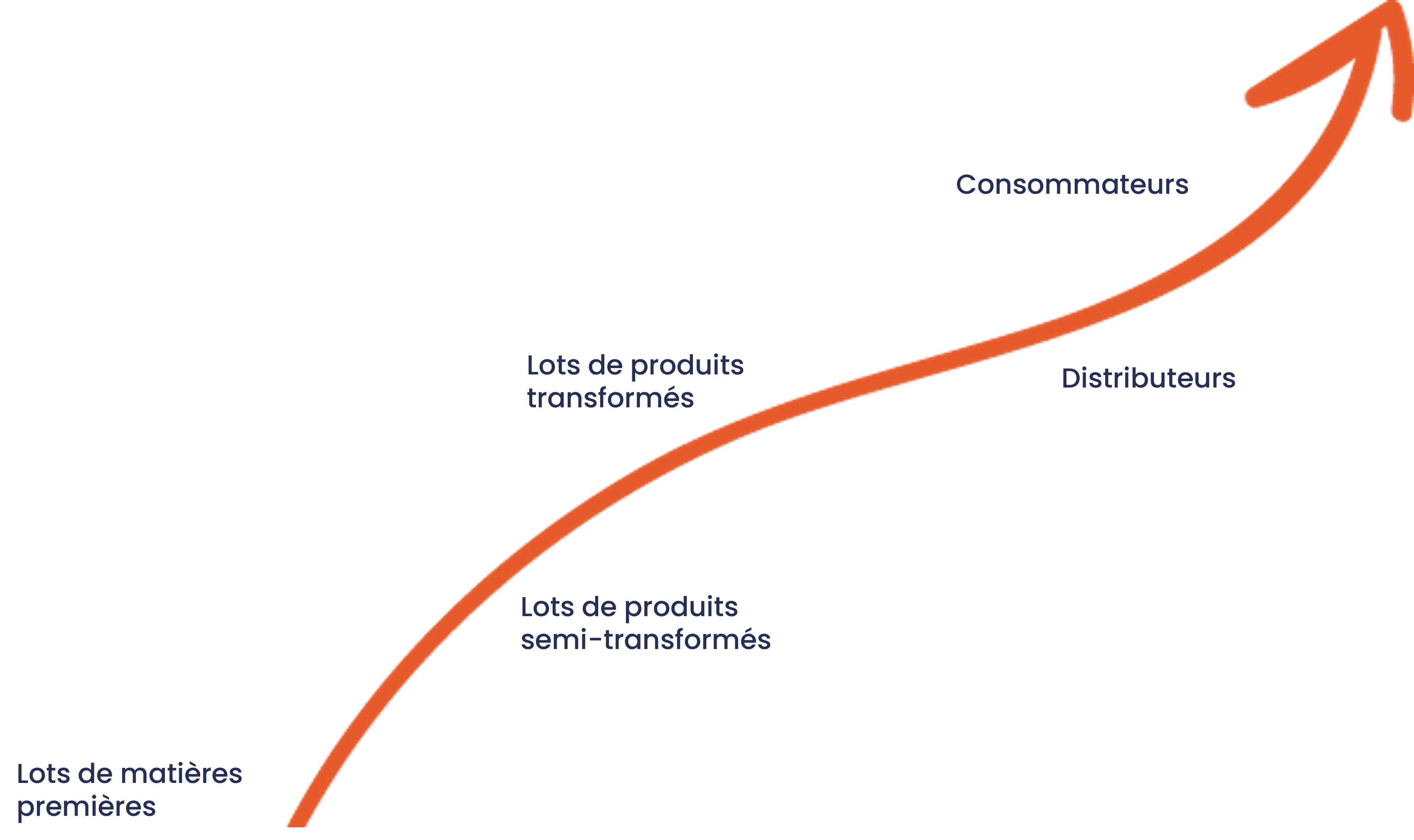 distribution